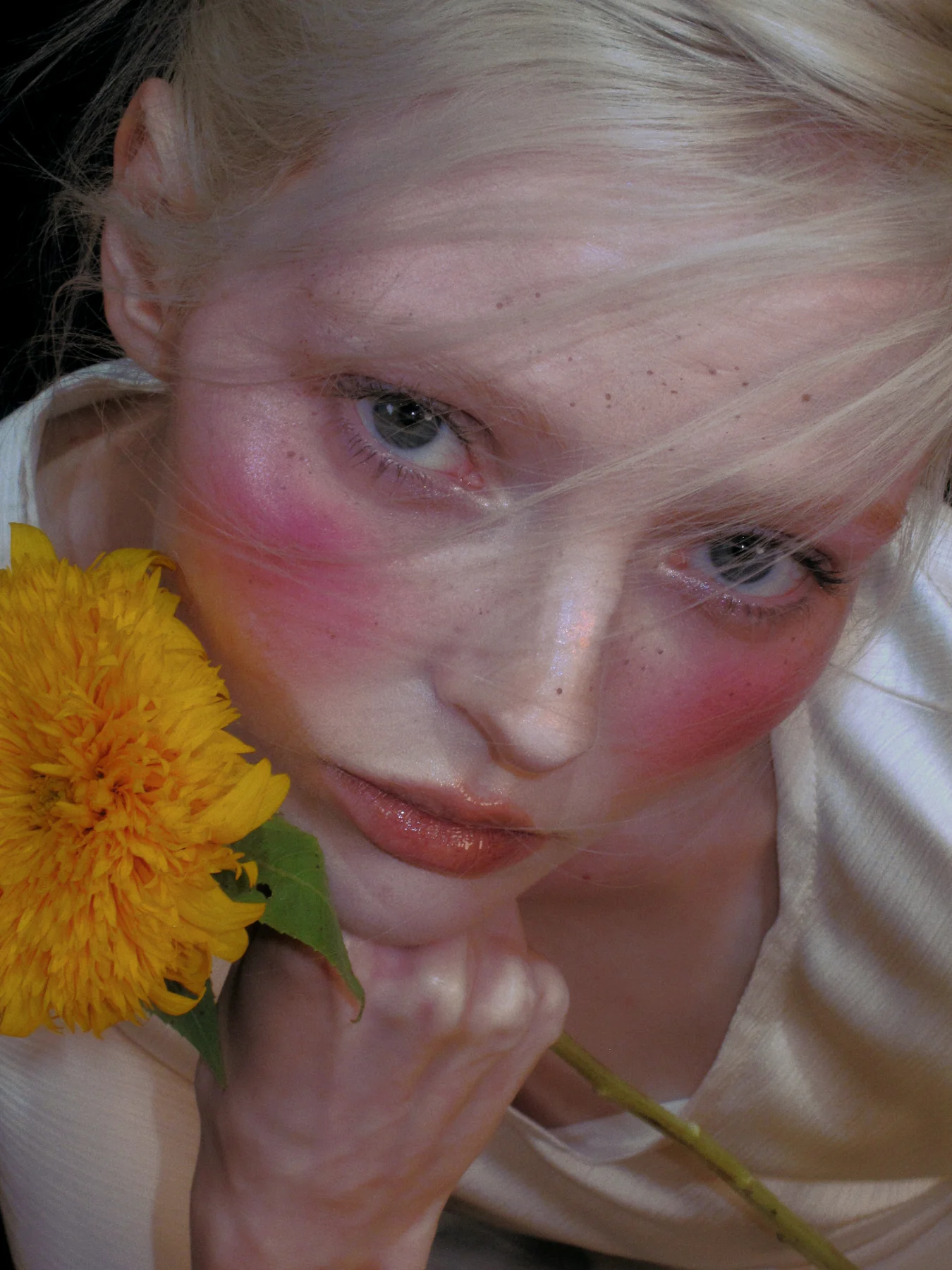 Pauline photo 54